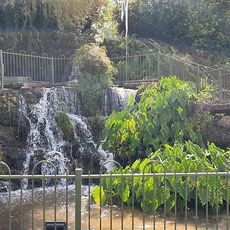 צימר יערת הדבש 哈戈什里姆 外观 照片