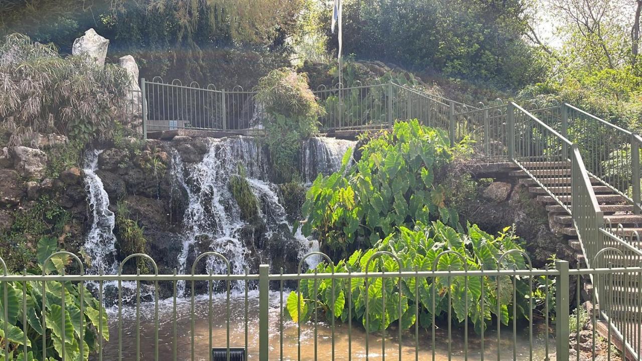 צימר יערת הדבש 哈戈什里姆 外观 照片